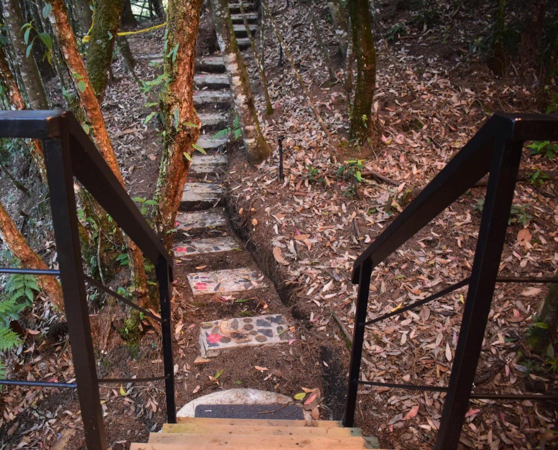 Tanat Campsite Medellin