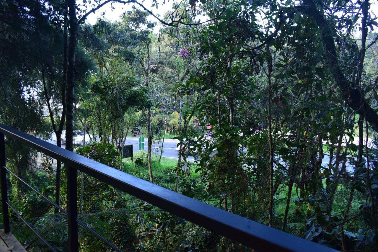 Campsite Tanat *