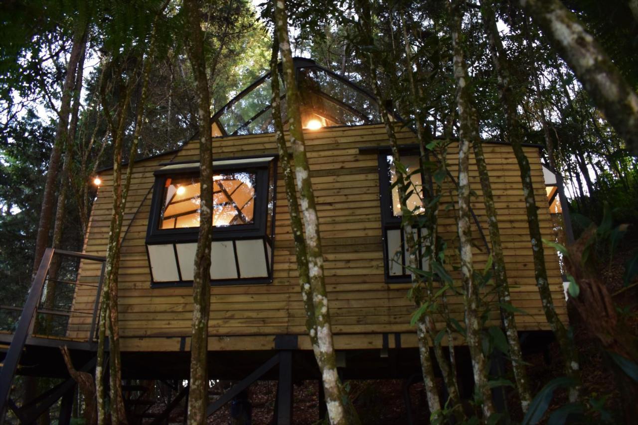 Tanat Campsite Medellin