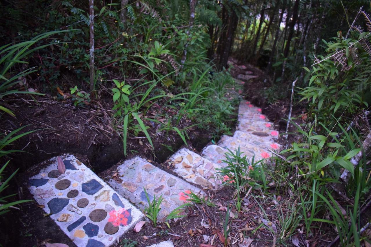 Camping Tanat Medellín