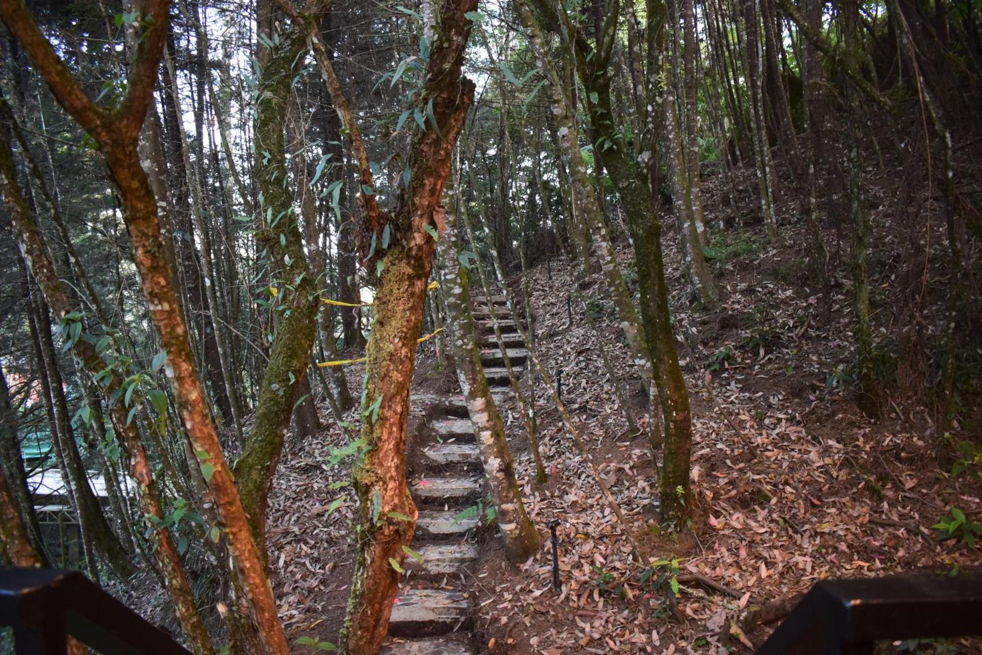 Tanat * Medellín